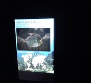 Tierpark Hellabrunn - Fische