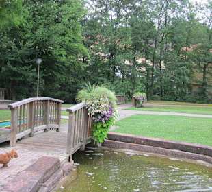 Niederbronn les Bains, Kurpark