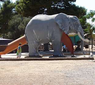 Safari Zoo