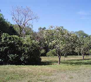 Unterwegs auf den Wanderwegen