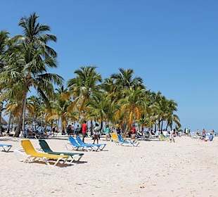 Bacardi Insel - Samána - Dominikanische Republik - DomRep Li