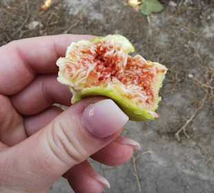 Oymapinar Baraji/ Stausee Green Lake & Green Canyon