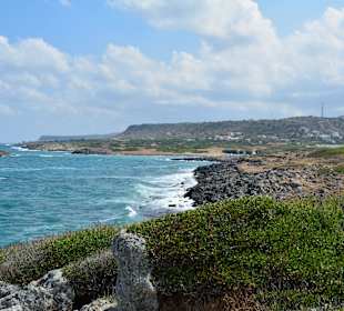 Ein paar Inspirationen von unserer Strandwanderung