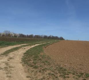 Besinnungsweg Weit-Blick