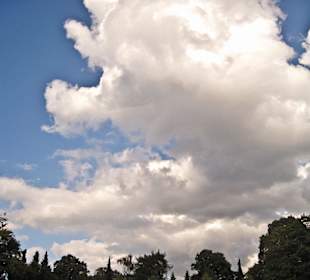 Кладбище Ольсдорф, Гамбург, 16 сентября 2013 года