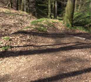 Wanderung Florianrunde