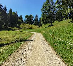Wandern Oberstaufen