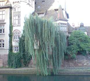 Straßburger Altstadt