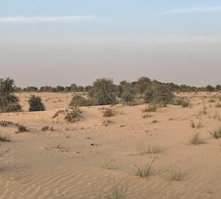 Wüstentour Dubai