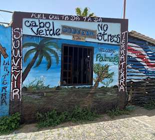 Palmeira