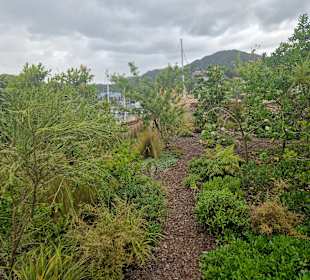 Hundertwasser Art Centre