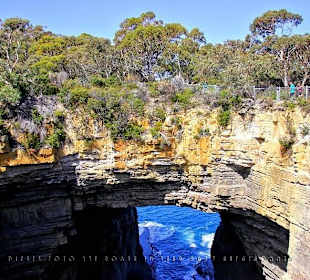 #1388 Tasmans Arch im Tasmanischen Nationalpark