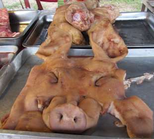 Ein Schweinekopf