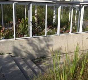 Botanischer Garten München