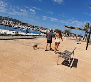 Yachthafen San Antonio/San Antoni de Portmany