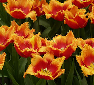 Tolle Farbkombination