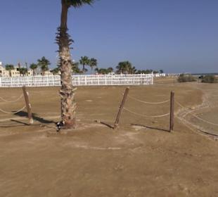 Stadtbesichtigung El Gouna