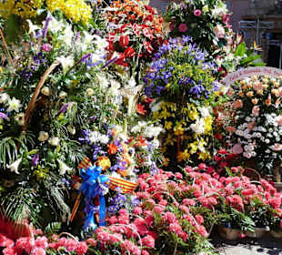 Plaza de la Virgen - Blumengaben