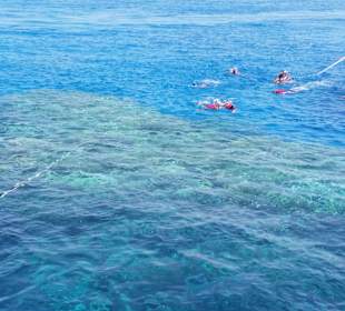 Schnorcheln Hurghada