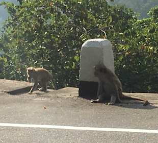 Auf dem Weg nach Ella