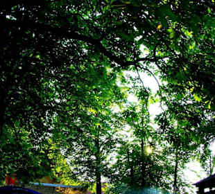 Die Kunigundenkirchweih 2011