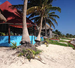 Punta Allen