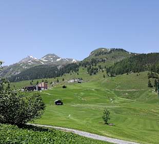 Wandern Arosa