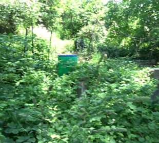 HAP Grieshaber Rundweg