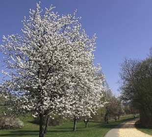 Sport- und Freizeitpark Markwasen