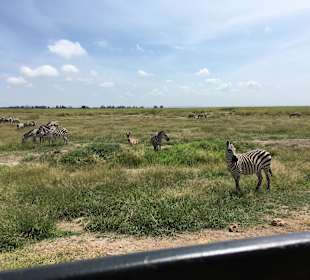 Amboseli Nationalpark