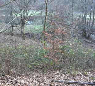 Schönbuch Schaichtal