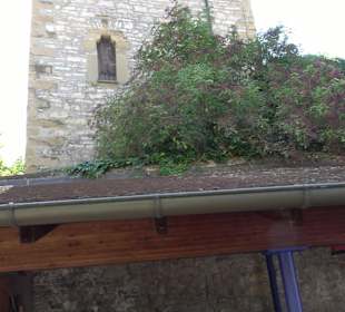 Ruine der Walpurgiskirche