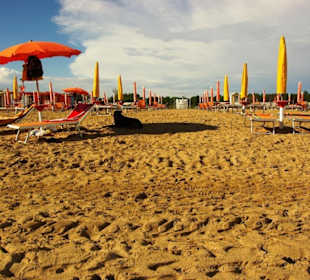 Am Hundestrand Pluto