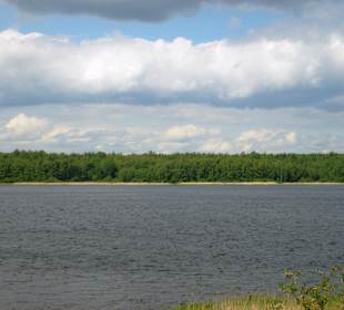 Rzeka Newa