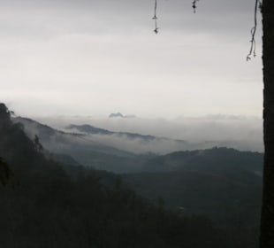 An frühen Morgen