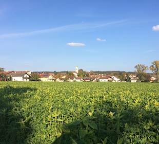 Wandern Bad Birnbach