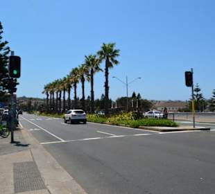 Bondi Beach