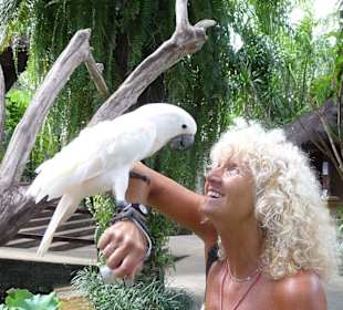 Kakadu und Touristin lachen sich an!