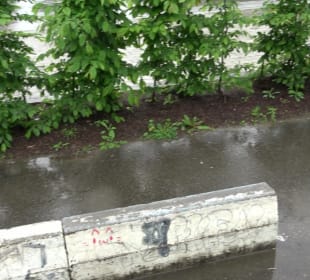 Bad Waldsee Skateplatz