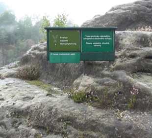 Felsenburg Neurathen