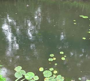 Fischlehrpfad Neu-Ulm