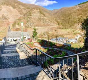 Aufgang Burg Metternich