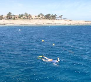 Schnorcheln in der Bucht