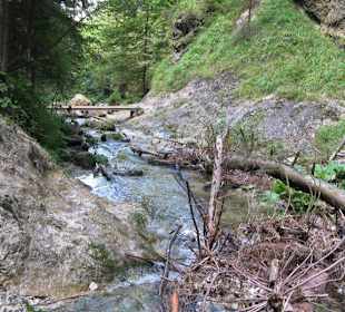 Janošikove diery