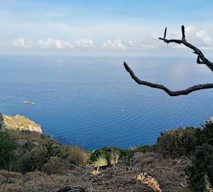 Panoramastraße MA-10 von Andraitx nach Valdemossa