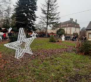 Weihnachtsmarkt Wissembourg in Wissembourg