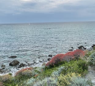 Strand Ricadi