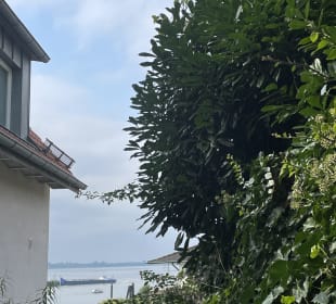 Ausblick auf die Elbe