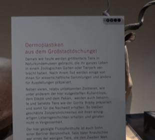 Museum der Naturkunde