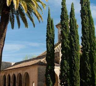 Excursión a Jerez
